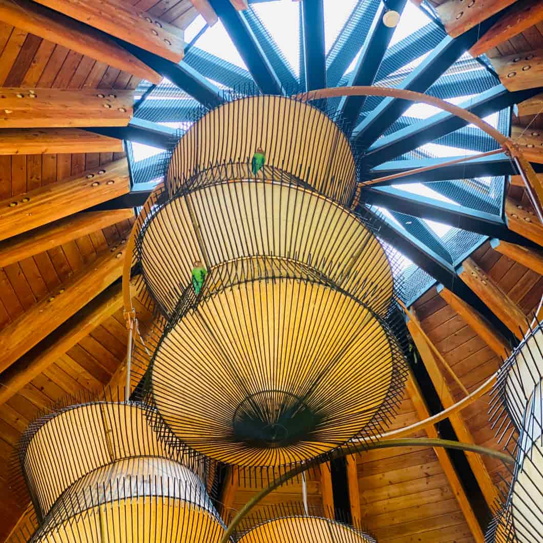 A unique architectural design of a circular wooden ceiling with concentric rings, from which a series of bamboo chandeliers with bulb lights are suspended, creating a striking visual effect