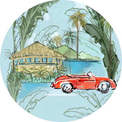 http://An%20artistic%20sketch%20depicting%20a%20vintage%20convertible%20car%20parked%20in%20front%20of%20The%20Birdcage%20amidst%20a%20lush%20tropical%20landscape%20with%20palm%20trees.