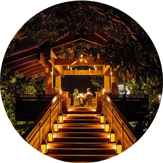 http://A%20couple%20enjoying%20a%20meal%20at%20The%20Treehouse%20lit%20by%20candlelight
