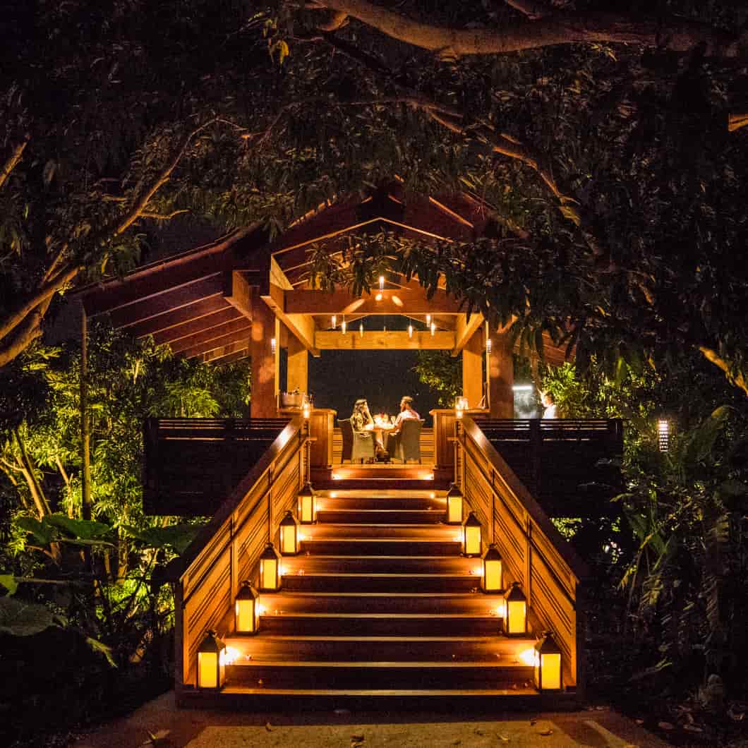 A warmly lit wooden walkway at night, with a series of steps leading up to the illuminated Treehouse at the top, surrounded by the dark silhouettes of trees and plants.